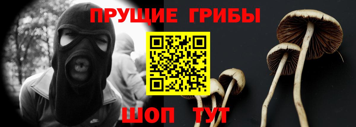 Псилоцибиновые грибы GOLDEN TEACHER  Вход с VPN  продажа наркотиков  Оренбург 